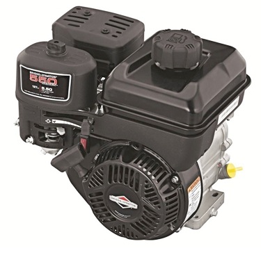 Briggs & Stratton Vertikutierer Motor